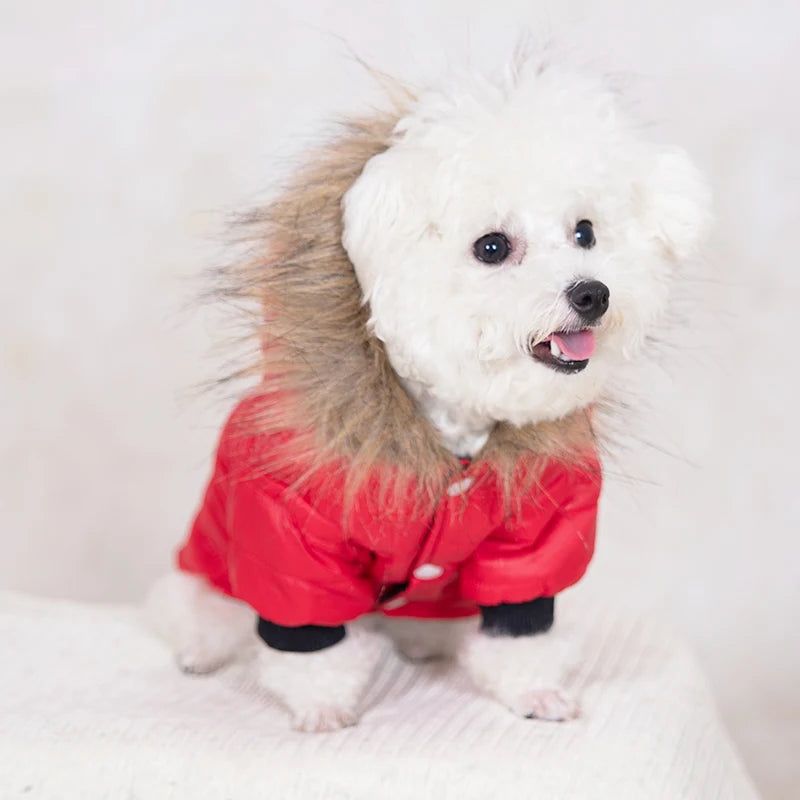 Canine Goose Puffer Jacket