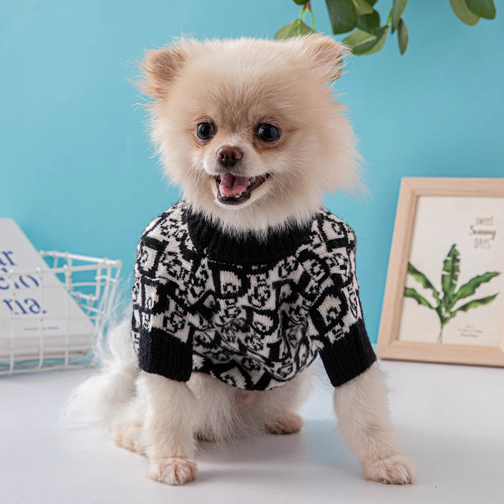 Dogior Monogram Sweater