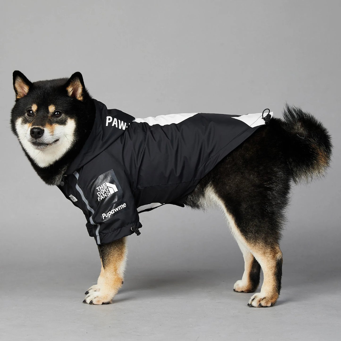 The Dog Face S-Logo Jacket