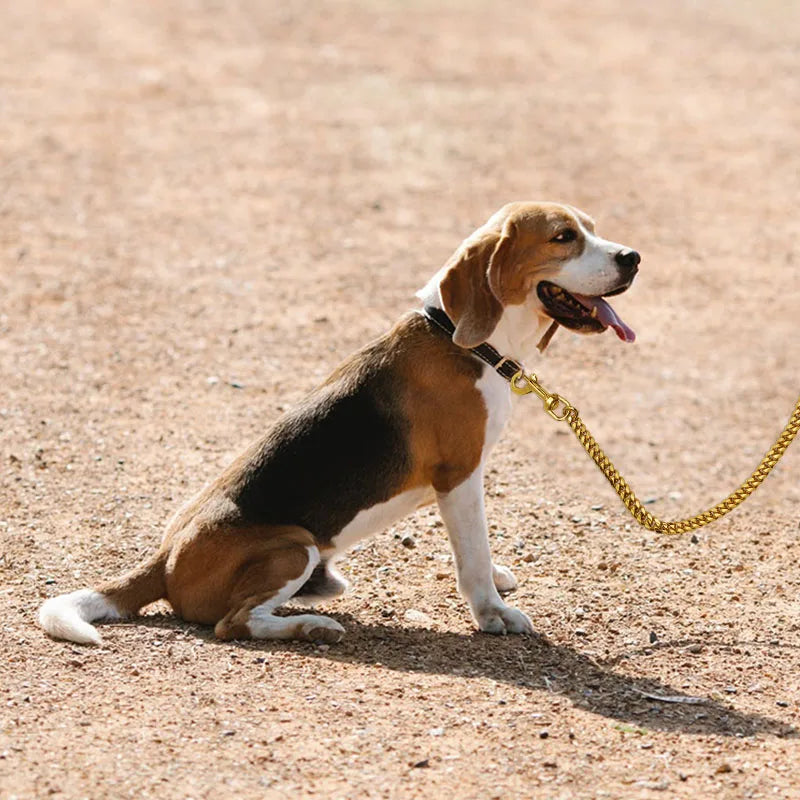 10MM Cuban Link Dog Leash