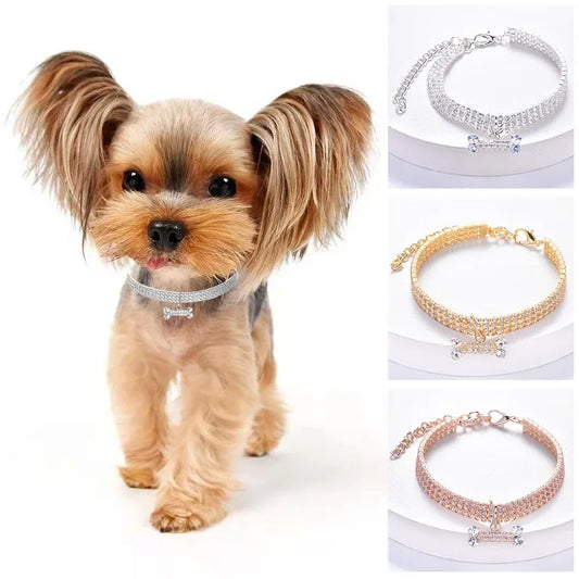 Diamond Paw Bone Collar